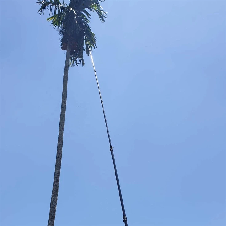 70ft Coconut Harvesting Pole